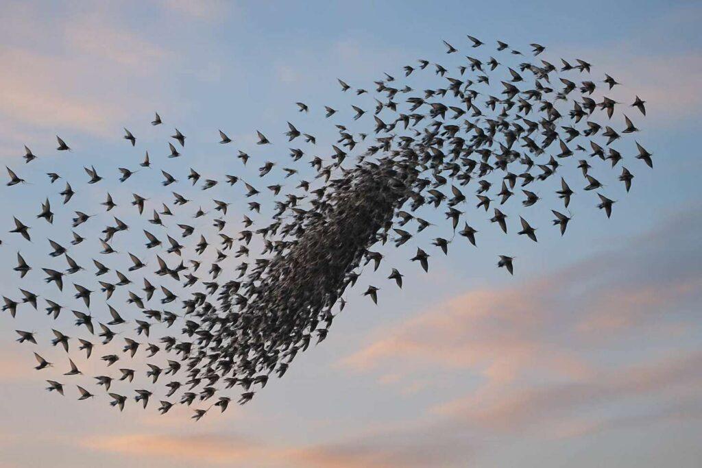 Complex Systems and Emergence-irreducibility mental model Complex Systems and Emergence-irreducibility mental model