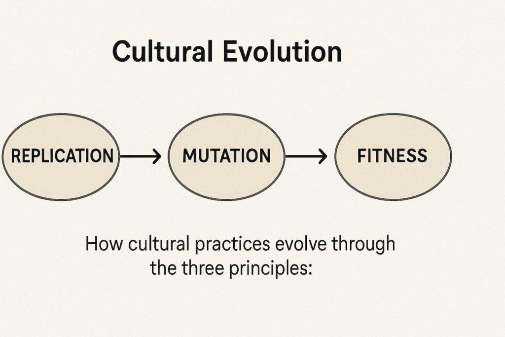 Cultural Evolution