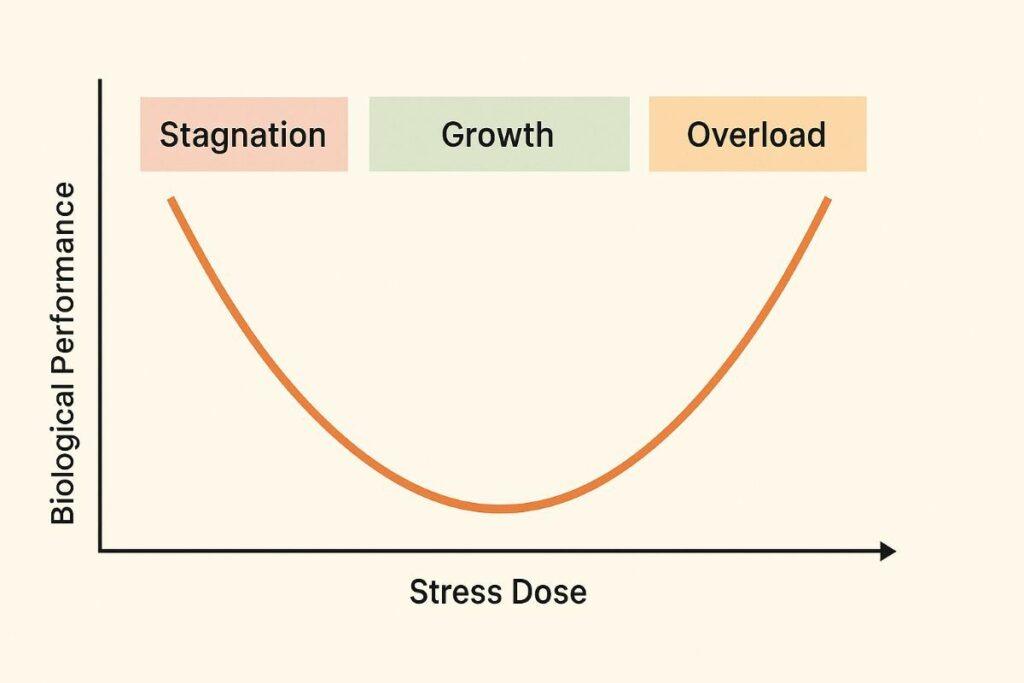 Hormesis Mental Model Drives Personal Growth